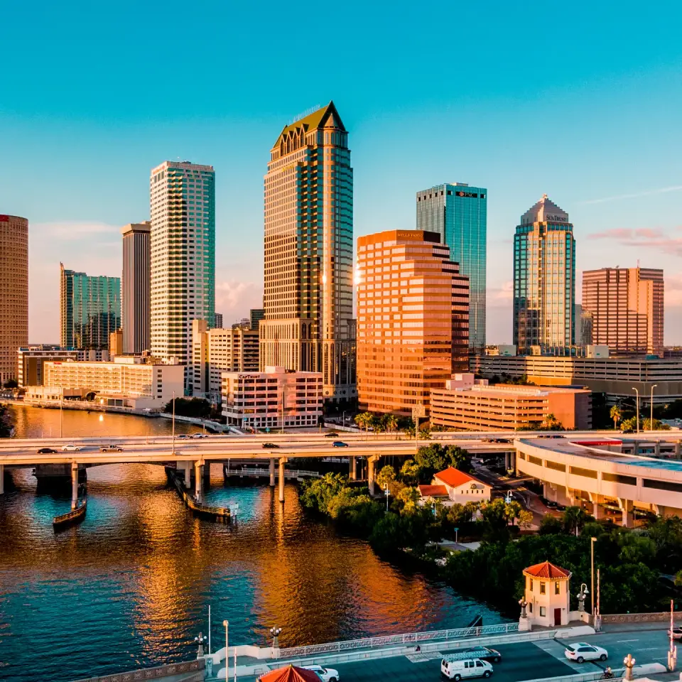 Premium limo service from Tampa