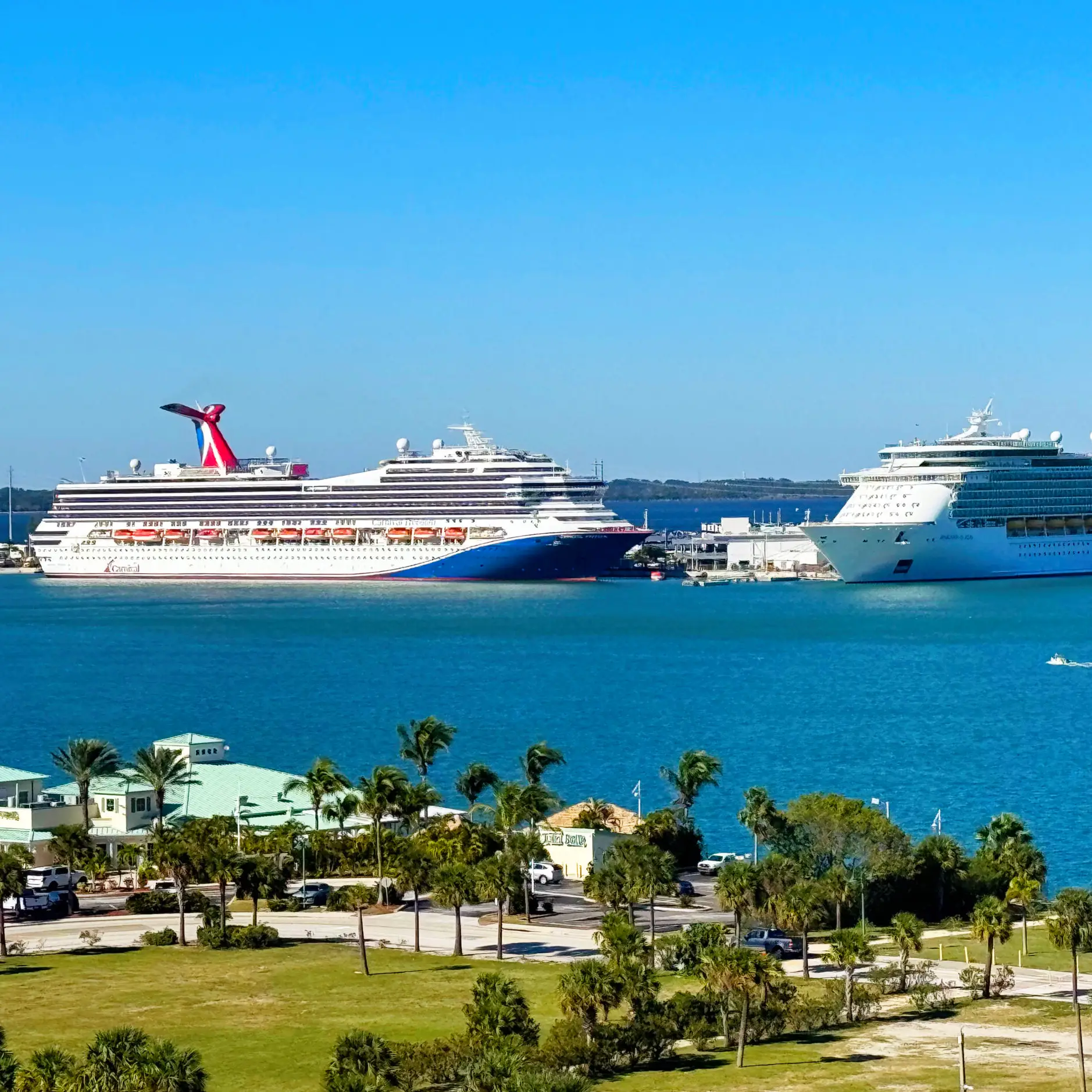 cruise transfer service between Tampa and Port Canaveral
