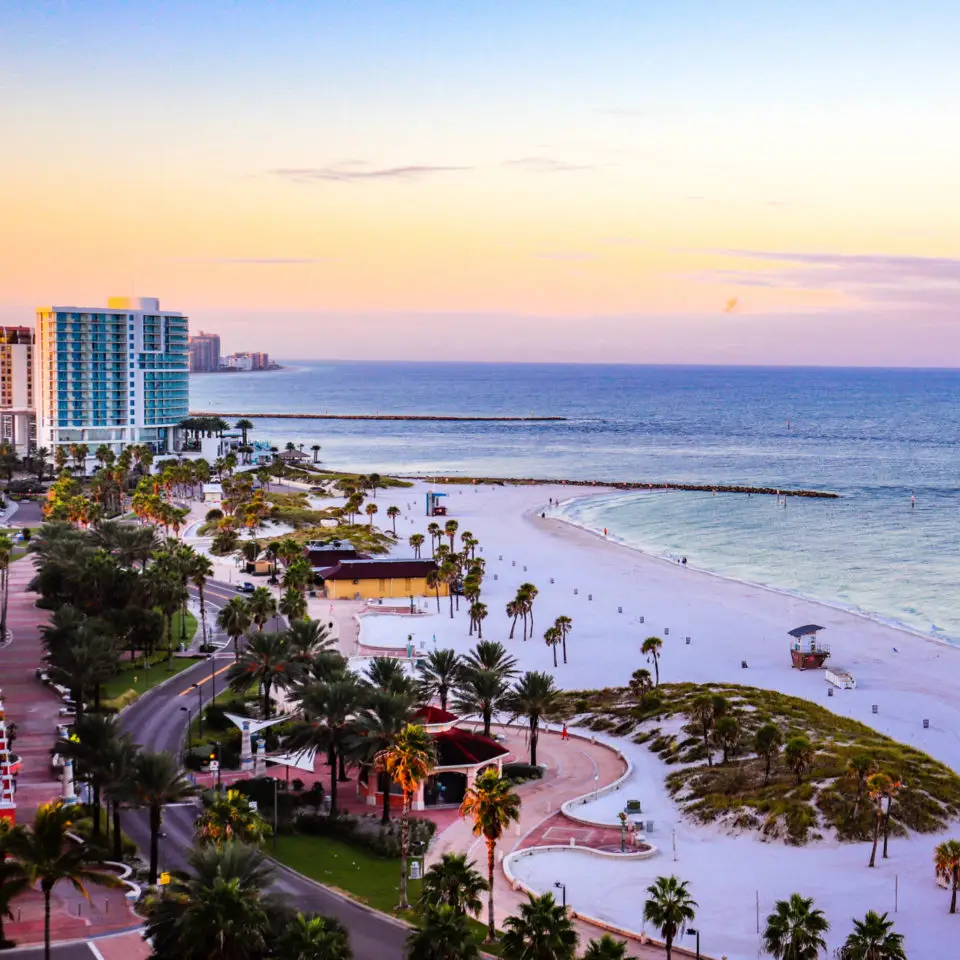 professional driver managing transportation across Clearwater