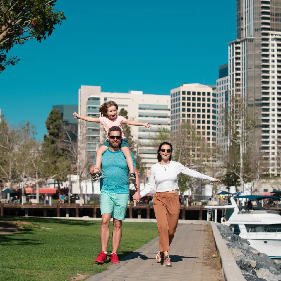 Tampa sightseeing transportation service