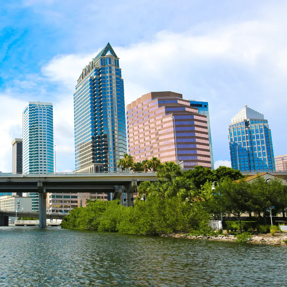 luxury transportation service near Tampa cruise port