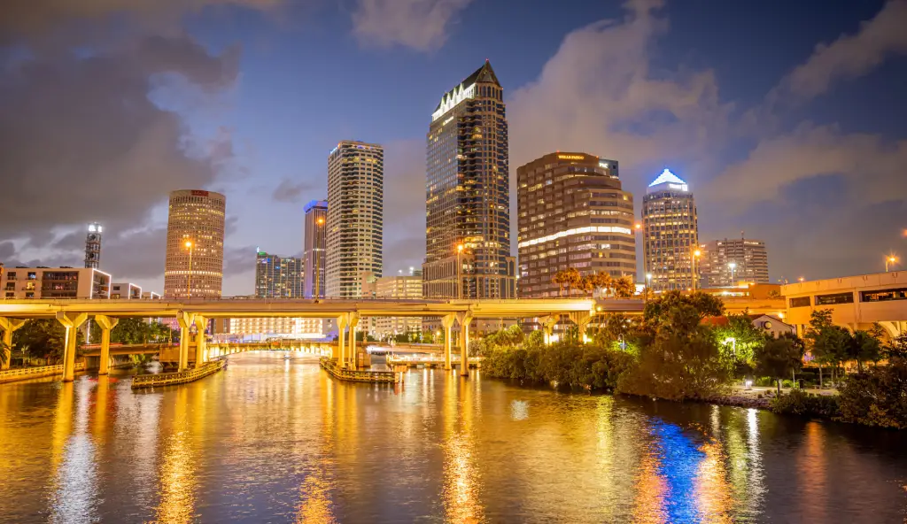tampa private car service