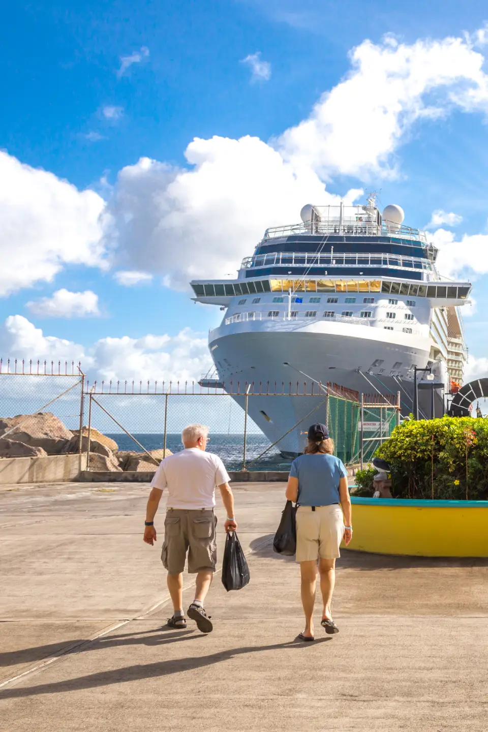 Tampa car service to cruise terminal