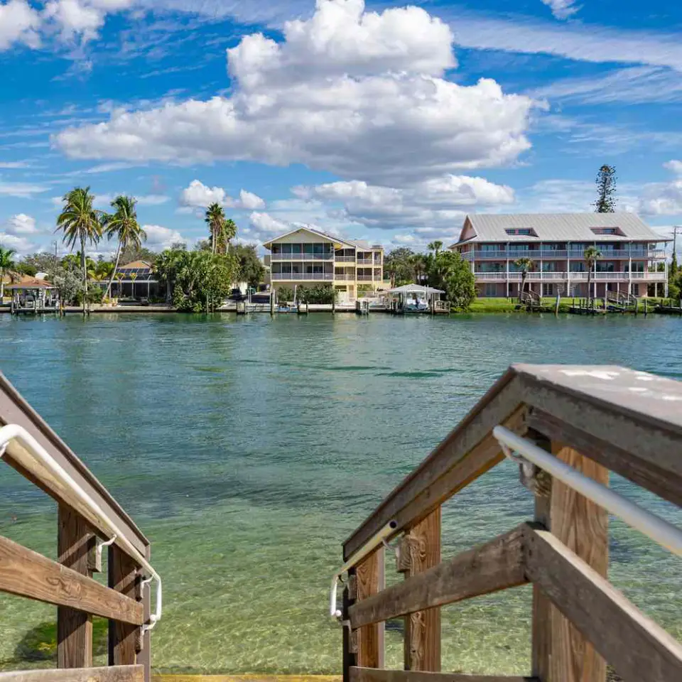 professional driver managing transportation in Sarasota