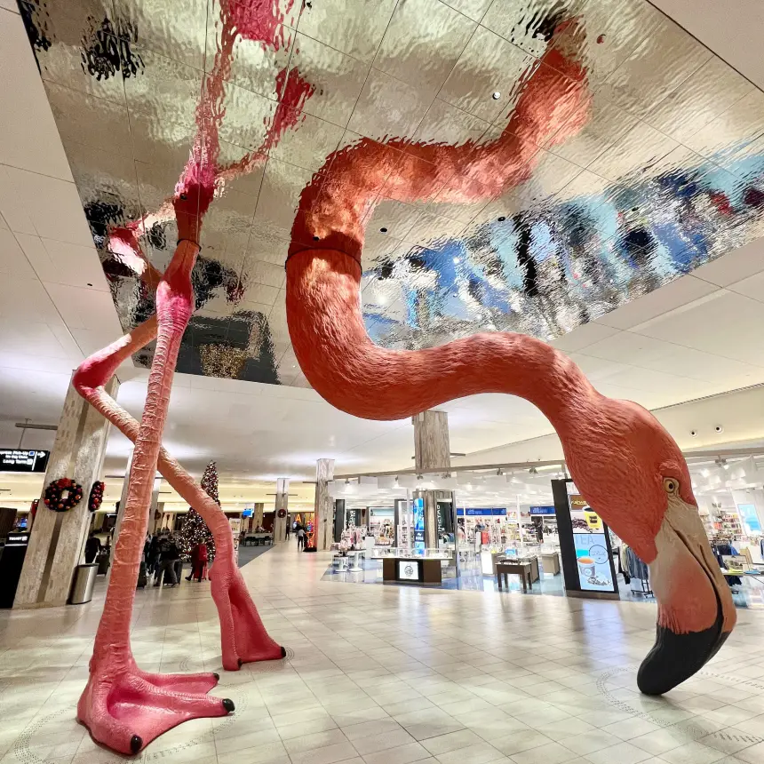 private airport pickup service at Tampa airport terminal