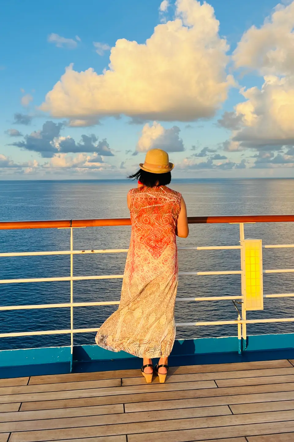 Tampa cruise transfer service to port