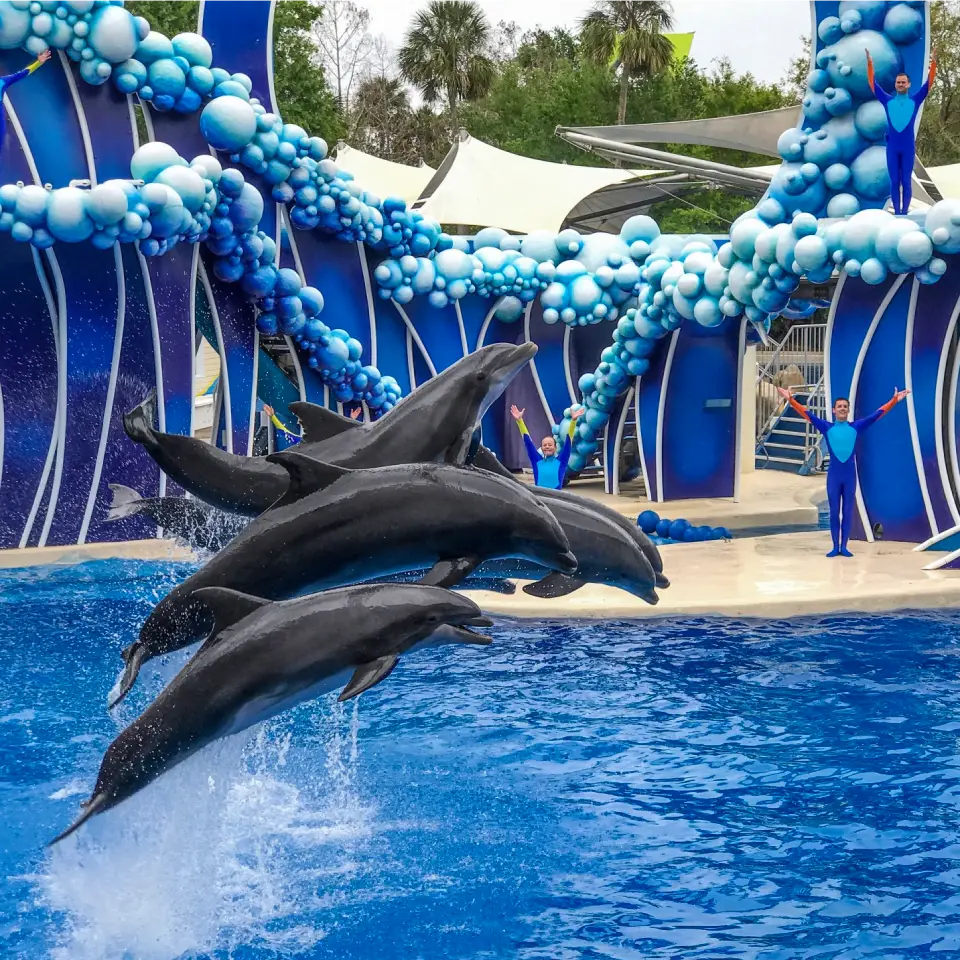 private ride connecting Tampa with Orlando theme parks